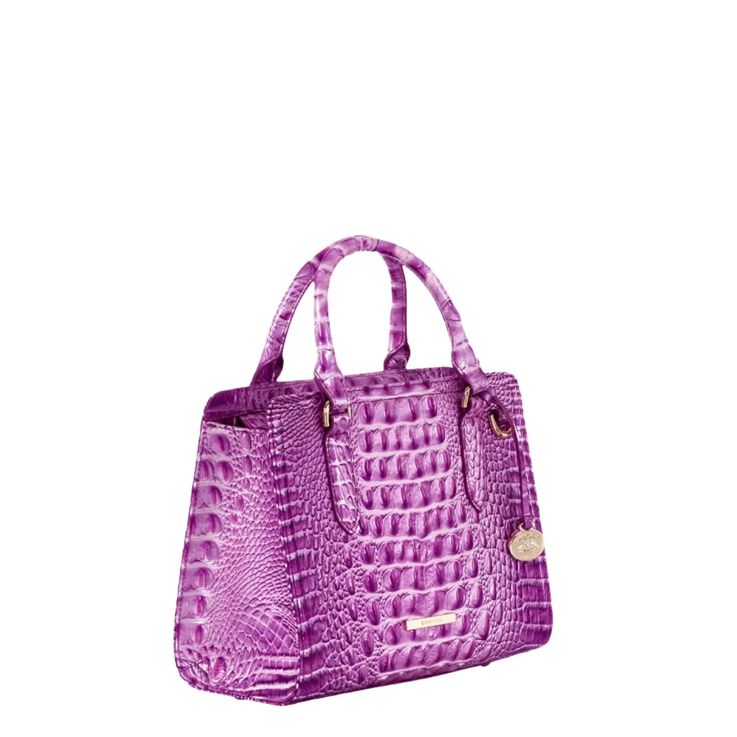 BRAHMIN Cami Satchel Handbag