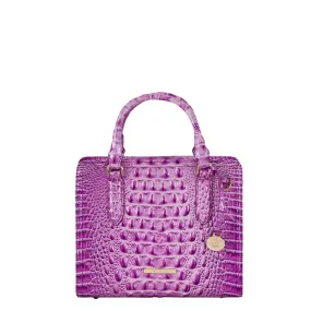 BRAHMIN Cami Satchel Handbag